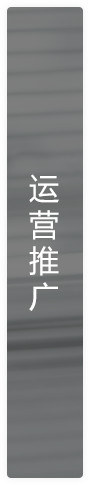 移動(dòng)應(yīng)用市場(chǎng)策略