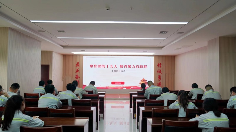富平公司團(tuán)委組織開展“聚焦團(tuán)的十九大 凝青聚力啟新程”主題團(tuán)日活動